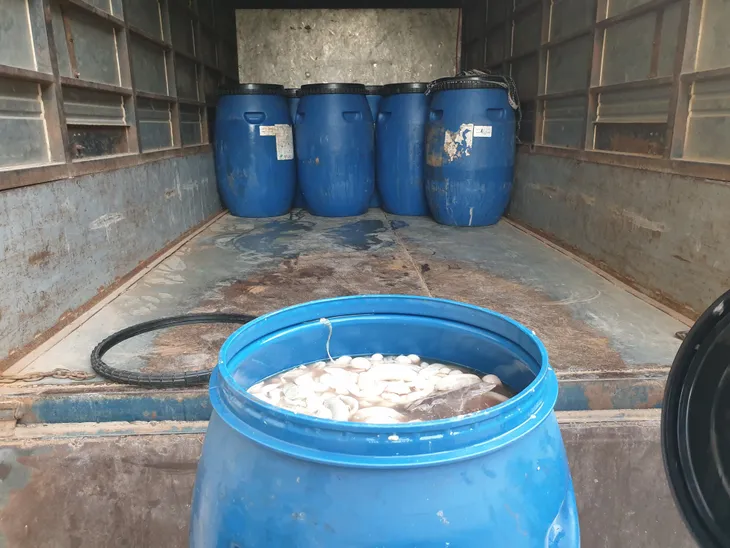 Lạng Sơn: Phát hiện 800kg nội tạng ướp lạnh không đảm bảo điều kiện vệ sinh thú y - Ảnh 1. Lạng Sơn: Phát hiện 800kg nội tạng ướp lạnh không đảm bảo điều kiện vệ sinh thú y - Ảnh 1.