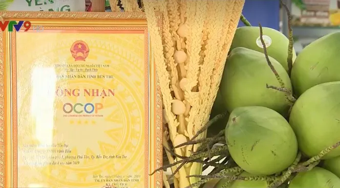 Bến Tre sẵn sàng cho Lễ hội Dừa 2019 - Ảnh 2. Bến Tre sẵn sàng cho Lễ hội Dừa 2019 - Ảnh 2.