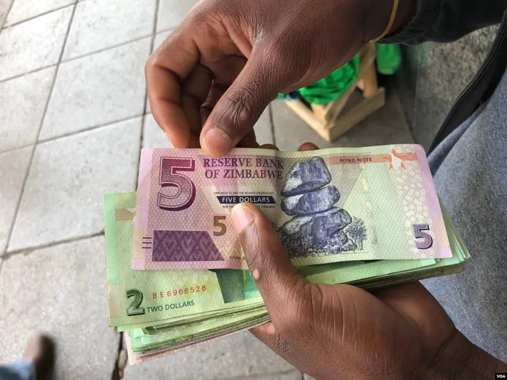 Zimbabwe đưa một số đồng tiền mới vào lưu thông - Ảnh 1.