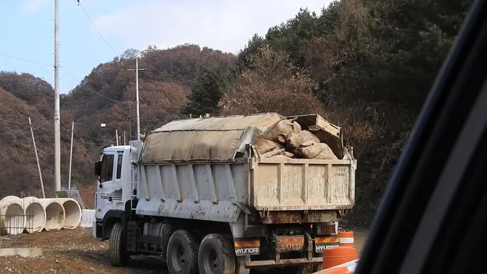 Dòng suối chuyển màu đỏ vì máu lợn - Ảnh 1. Dòng suối chuyển màu đỏ vì máu lợn - Ảnh 1.