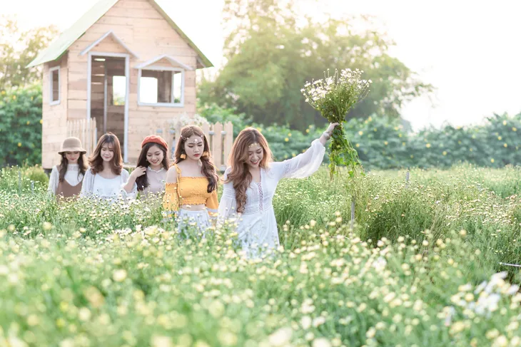 Giới trẻ Hà thành thích thú tạo dáng với cúc họa mi đầu mùa - Ảnh 7.