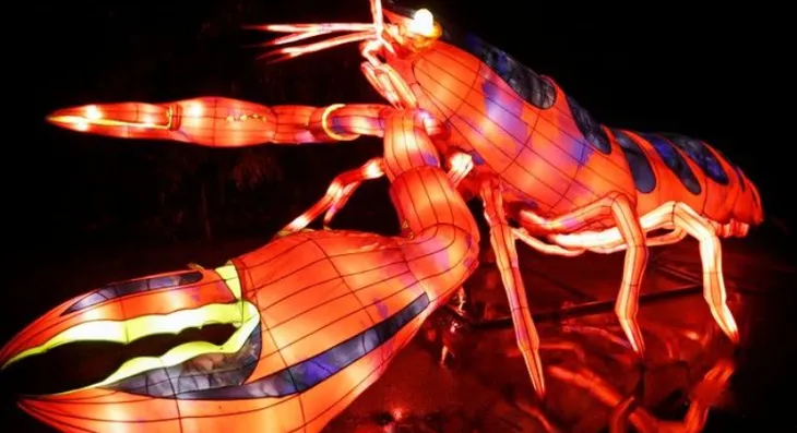 Rực rỡ sắc màu lễ hội ánh sáng nâng cao nhận thức bảo vệ biển - Ảnh 3. Rực rỡ sắc màu lễ hội ánh sáng nâng cao nhận thức bảo vệ biển - Ảnh 3.