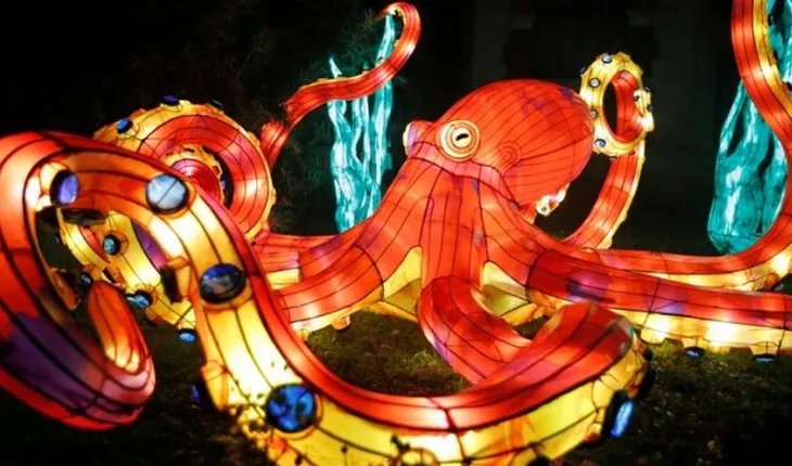 Rực rỡ sắc màu lễ hội ánh sáng nâng cao nhận thức bảo vệ biển - Ảnh 5. Rực rỡ sắc màu lễ hội ánh sáng nâng cao nhận thức bảo vệ biển - Ảnh 5.