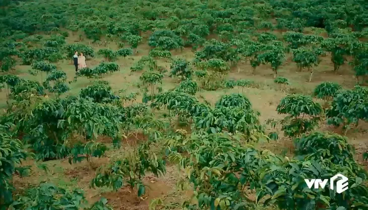 Nước mắt loài cỏ dại - Tập 2: Bà Phương (Mỹ Uyên) xúi giục chồng tranh giành tài sản - Ảnh 6. Nước mắt loài cỏ dại - Tập 2: Bà Phương (Mỹ Uyên) xúi giục chồng tranh giành tài sản - Ảnh 6.