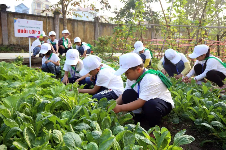 Chương trình giáo dục dinh dưỡng học đường tiếp cận 30.000 học sinh sau 7 năm - Ảnh 1.