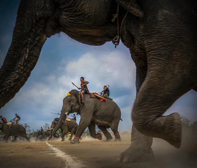 Bước chân đại ngàn giành giải đặc biệt tại Vietnam Heritage Photo Awards 2019 - Ảnh 1. Bước chân đại ngàn giành giải đặc biệt tại Vietnam Heritage Photo Awards 2019 - Ảnh 1.