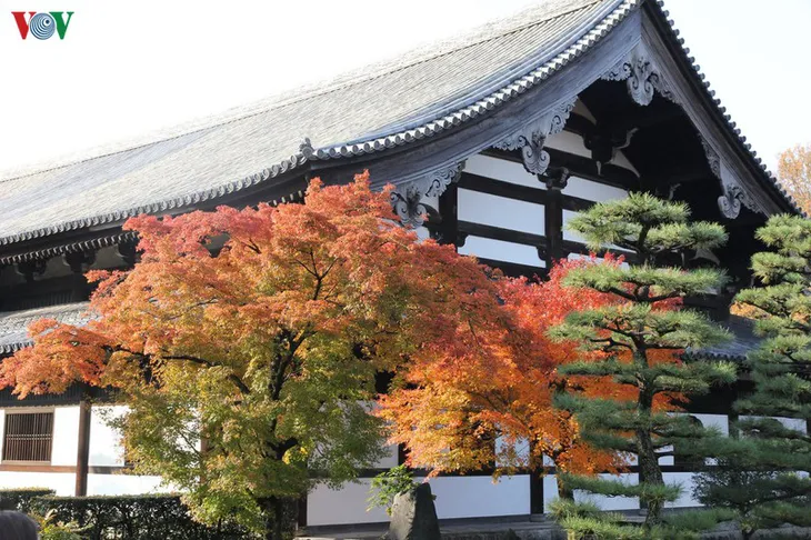 Tới ngôi chùa ngắm lá đỏ đẹp nhất Kyoto - Ảnh 1. Tới ngôi chùa ngắm lá đỏ đẹp nhất Kyoto - Ảnh 1.