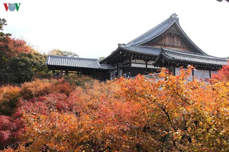 Tới ngôi chùa ngắm lá đỏ đẹp nhất Kyoto - Ảnh 3. Tới ngôi chùa ngắm lá đỏ đẹp nhất Kyoto - Ảnh 3.
