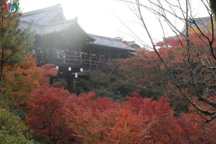 Tới ngôi chùa ngắm lá đỏ đẹp nhất Kyoto - Ảnh 6. Tới ngôi chùa ngắm lá đỏ đẹp nhất Kyoto - Ảnh 6.