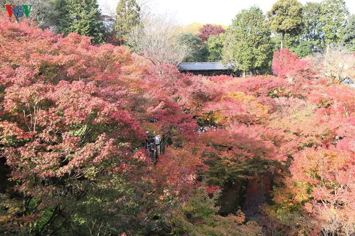 Tới ngôi chùa ngắm lá đỏ đẹp nhất Kyoto - Ảnh 7. Tới ngôi chùa ngắm lá đỏ đẹp nhất Kyoto - Ảnh 7.