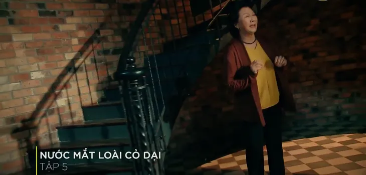 Nước mắt loài cỏ dại - Tập 5: Quá tàn nhẫn với con dâu, con rể, bà Hai Đài mất tất cả - Ảnh 3. Nước mắt loài cỏ dại - Tập 5: Quá tàn nhẫn với con dâu, con rể, bà Hai Đài mất tất cả - Ảnh 3.