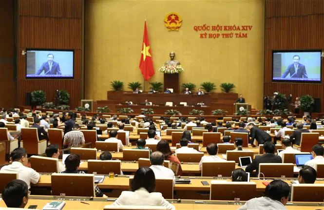 Thiệt hại gần 6 triệu con lợn do dịch tả, dân có đủ thịt lợn ăn Tết? - Ảnh 2. Thiệt hại gần 6 triệu con lợn do dịch tả, dân có đủ thịt lợn ăn Tết? - Ảnh 2.
