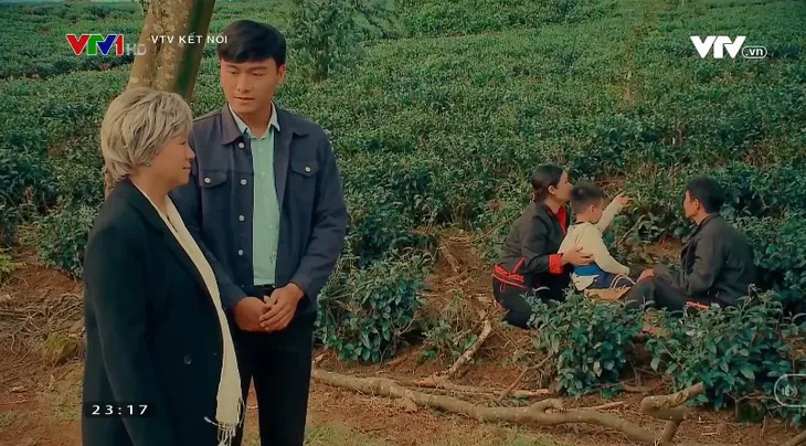 Nước mắt loài cỏ dại nối sóng Đánh cắp giấc mơ trên VTV3 từ 16/11 - Ảnh 1. Nước mắt loài cỏ dại nối sóng Đánh cắp giấc mơ trên VTV3 từ 16/11 - Ảnh 1.