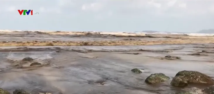 Nước biển màu đen ở Quảng Ngãi không có mùi lạ - Ảnh 1.