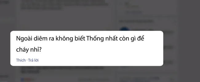 Ngoài diêm, Diêm Thống Nhất còn gì để cháy? - Ảnh 2. Ngoài diêm, Diêm Thống Nhất còn gì để cháy? - Ảnh 2.
