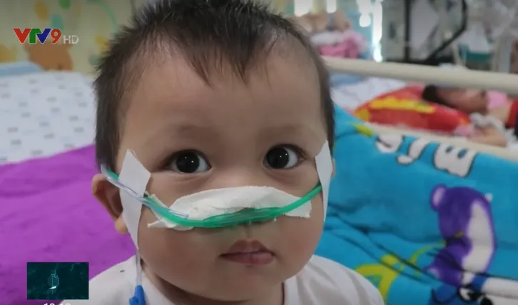 Nhiều ca bệnh nặng nhiễm virus hợp bào hô hấp tại TP.HCM - Ảnh 1. Nhiều ca bệnh nặng nhiễm virus hợp bào hô hấp tại TP.HCM - Ảnh 1.