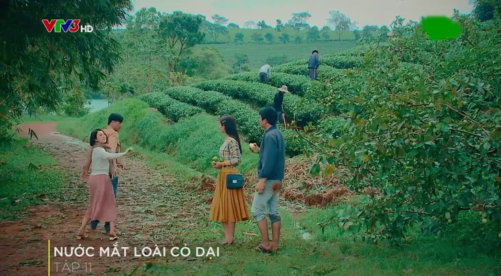Nước mắt loài cỏ dại - Tập 11: Thấy em gái có bạn trai, anh họ lại ghen ra mặt - Ảnh 4. Nước mắt loài cỏ dại - Tập 11: Thấy em gái có bạn trai, anh họ lại ghen ra mặt - Ảnh 4.
