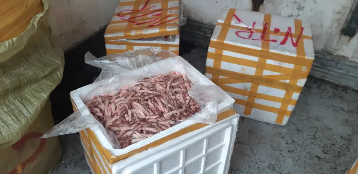 Phát hiện hai container nhập lậu đồ đông lạnh từ Trung Quốc trong sân siêu thị MM Mega Market - Ảnh 8.
