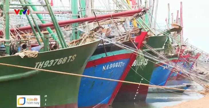 Tàu cá nằm bờ, ngư dân sốt ruột chờ bảo hiểm để ra khơi - Ảnh 1. Tàu cá nằm bờ, ngư dân sốt ruột chờ bảo hiểm để ra khơi - Ảnh 1.