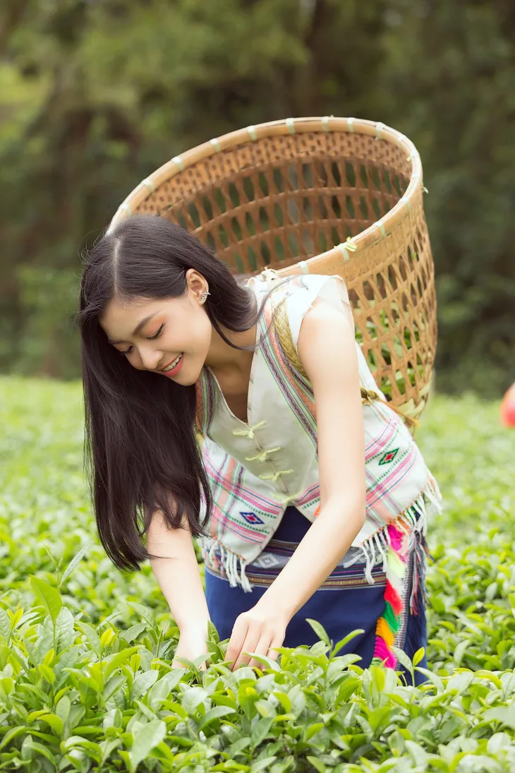 Đỗ Mỹ Linh và Kiều Loan khoe sắc giữa đồi chè bạt ngàn - Ảnh 5. Đỗ Mỹ Linh và Kiều Loan khoe sắc giữa đồi chè bạt ngàn - Ảnh 5.