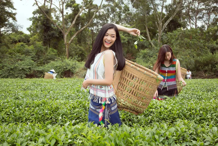 Đỗ Mỹ Linh và Kiều Loan khoe sắc giữa đồi chè bạt ngàn - Ảnh 6. Đỗ Mỹ Linh và Kiều Loan khoe sắc giữa đồi chè bạt ngàn - Ảnh 6.