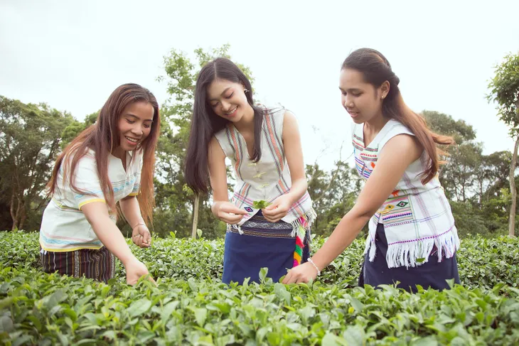 Đỗ Mỹ Linh và Kiều Loan khoe sắc giữa đồi chè bạt ngàn - Ảnh 8. Đỗ Mỹ Linh và Kiều Loan khoe sắc giữa đồi chè bạt ngàn - Ảnh 8.
