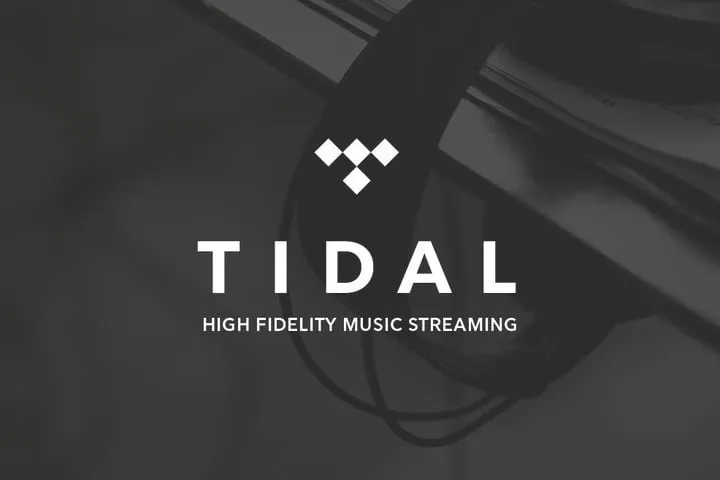 Nhạc của Jay Z trở lại Spotify, điều gì đã xảy ra với Tidal? - Ảnh 2. Nhạc của Jay Z trở lại Spotify, điều gì đã xảy ra với Tidal? - Ảnh 2.