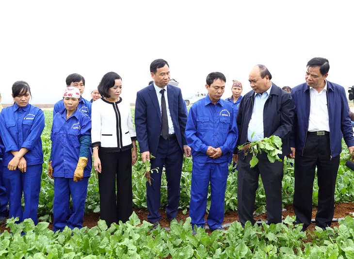 Thủ tướng: Nông nghiệp là đòn bẩy giúp Việt Nam hoàn thành mục tiêu kép - Ảnh 1. Thủ tướng: Nông nghiệp là đòn bẩy giúp Việt Nam hoàn thành mục tiêu kép - Ảnh 1.
