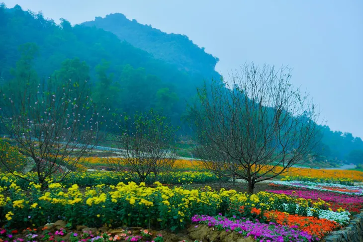 Tết này đi đâu vãn cảnh chùa? - Ảnh 2. Tết này đi đâu vãn cảnh chùa? - Ảnh 2.
