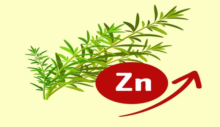 11 nguyên liệu tự nhiên giúp loại bỏ mùi hôi cơ thể - Ảnh 11. 11 nguyên liệu tự nhiên giúp loại bỏ mùi hôi cơ thể - Ảnh 11.