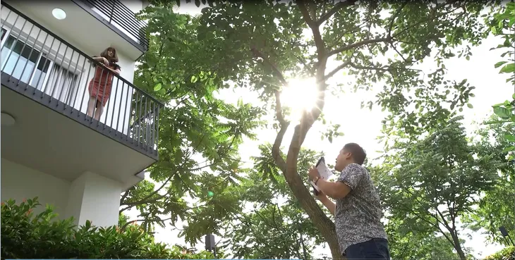 Gia đình 4.0: Nườm nượp trai đẹp tới nhà trồng cây si liệu cô Ế có thoát đời độc thân? - Ảnh 3. Gia đình 4.0: Nườm nượp trai đẹp tới nhà trồng cây si liệu cô Ế có thoát đời độc thân? - Ảnh 3.