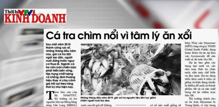 Giá cá tra chìm nổi vì tâm lý ăn xổi - Ảnh 1. Giá cá tra chìm nổi vì tâm lý ăn xổi - Ảnh 1.