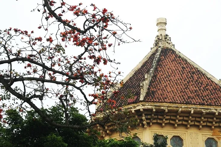 Rạo rực mùa hoa gạo giữa thủ đô - Ảnh 2. Rạo rực mùa hoa gạo giữa thủ đô - Ảnh 2.