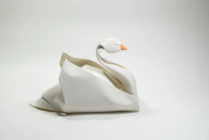 Hoàng Tiến Quyết: Cao thủ origami tại Việt Nam - Ảnh 6. Hoàng Tiến Quyết: Cao thủ origami tại Việt Nam - Ảnh 6.