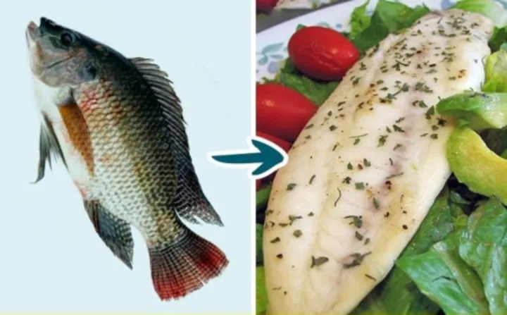 7 loại cá mà bạn nên hạn chế ăn - Ảnh 4. 7 loại cá mà bạn nên hạn chế ăn - Ảnh 4.