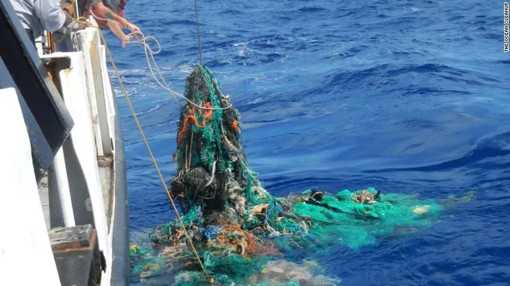 Hawaii đi đầu trong cấm đồ nhựa tại các nhà hàng - Ảnh 2. Hawaii đi đầu trong cấm đồ nhựa tại các nhà hàng - Ảnh 2.