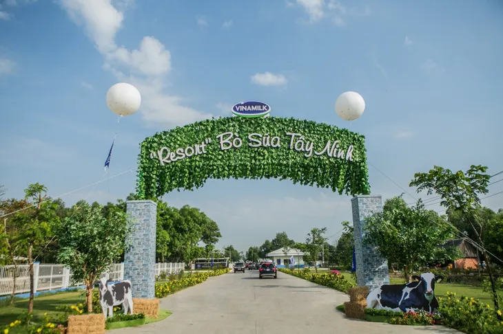 “Resort” bò sữa Vinamilk Tây Ninh - Ngôi nhà của những cô bò hạnh phúc - Ảnh 1. “Resort” bò sữa Vinamilk Tây Ninh - Ngôi nhà của những cô bò hạnh phúc - Ảnh 1.