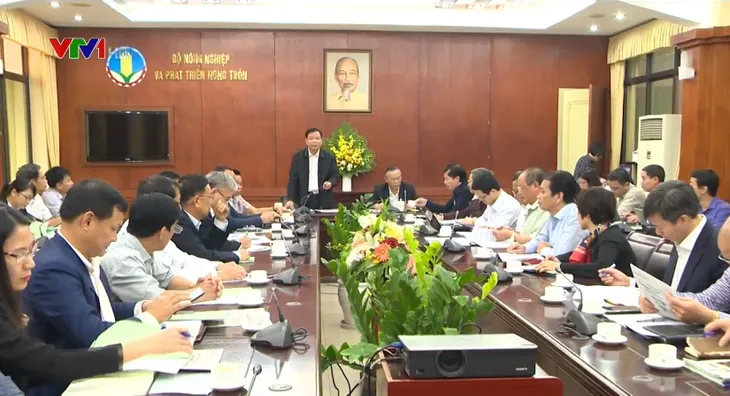 23 địa phương xuất hiện dịch tả lợn châu Phi - Ảnh 1.