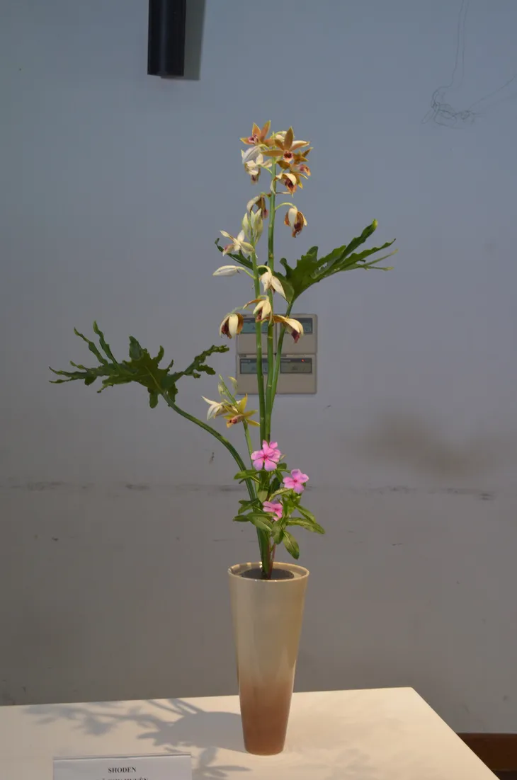 Thưởng thức nghệ thuật cắm hoa Ikebana Nhật Bản tại Hà Nội - Ảnh 4. Thưởng thức nghệ thuật cắm hoa Ikebana Nhật Bản tại Hà Nội - Ảnh 4.