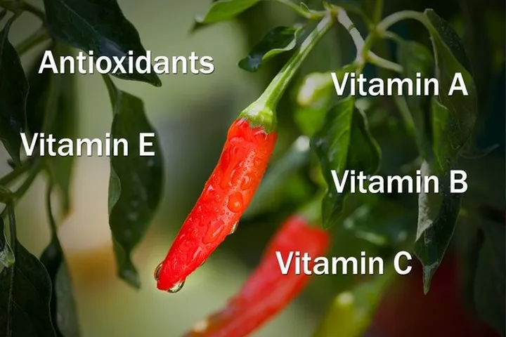 Lợi ích sức khỏe của ớt đỏ bạn nên biết - Ảnh 8.