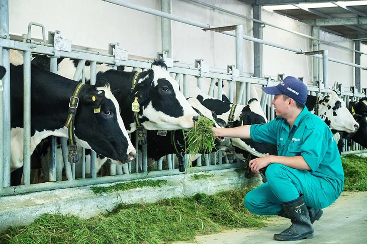 Vinamilk là nơi làm việc tốt nhất Việt Nam 2 năm liên tiếp - Ảnh 9. Vinamilk là nơi làm việc tốt nhất Việt Nam 2 năm liên tiếp - Ảnh 9.