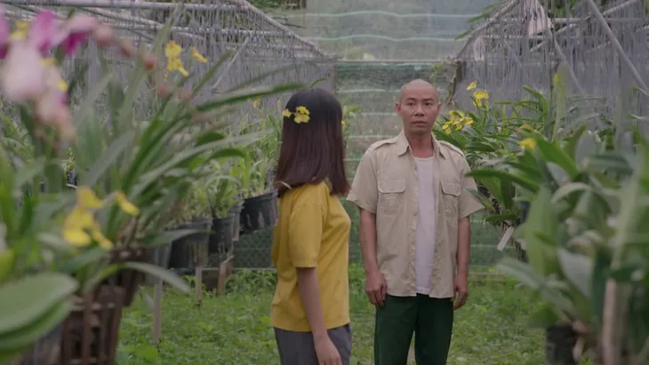 Những cô gái trong thành phố - Tập 31: Lâm thẹn thùng bóng gió tỏ tình với Lan - Ảnh 2. Những cô gái trong thành phố - Tập 31: Lâm thẹn thùng bóng gió tỏ tình với Lan - Ảnh 2.