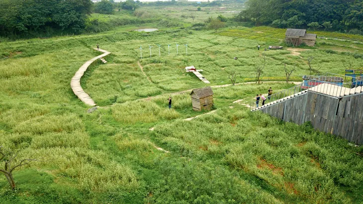 Chiêm ngưỡng hoa tam giác mạch trái mùa rực rỡ giữa lòng Hà Nội - Ảnh 9. Chiêm ngưỡng hoa tam giác mạch trái mùa rực rỡ giữa lòng Hà Nội - Ảnh 9.