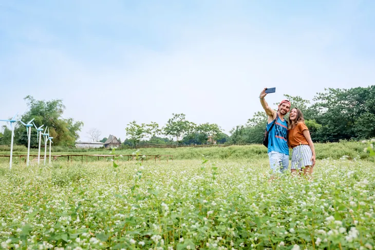 Chiêm ngưỡng hoa tam giác mạch trái mùa rực rỡ giữa lòng Hà Nội - Ảnh 8. Chiêm ngưỡng hoa tam giác mạch trái mùa rực rỡ giữa lòng Hà Nội - Ảnh 8.