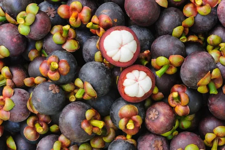 Sau sữa, măng cụt của Việt Nam sẽ xuất khẩu chính ngạch sang Trung Quốc - Ảnh 1. Sau sữa, măng cụt của Việt Nam sẽ xuất khẩu chính ngạch sang Trung Quốc - Ảnh 1.
