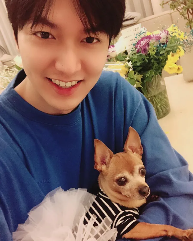 Lee Min Ho chính thức trở lại làng giải trí Kbiz - Ảnh 2. Lee Min Ho chính thức trở lại làng giải trí Kbiz - Ảnh 2.