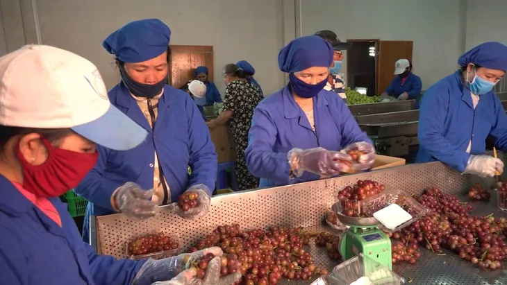 Quý I/2019, xuất khẩu nông, lâm, thủy sản của Việt Nam giảm gần 3% - Ảnh 1. Quý I/2019, xuất khẩu nông, lâm, thủy sản của Việt Nam giảm gần 3% - Ảnh 1.