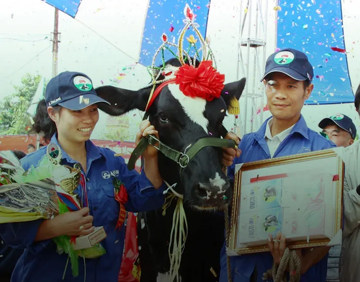 Mộc Châu Milk giữ lửa nghề chăn nuôi bò sữa cha truyền con nối cho nông dân - Ảnh 2.