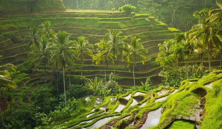 Vịnh Hạ Long - Điểm đến đáng kinh ngạc - Ảnh 3. Vịnh Hạ Long - Điểm đến đáng kinh ngạc - Ảnh 3.