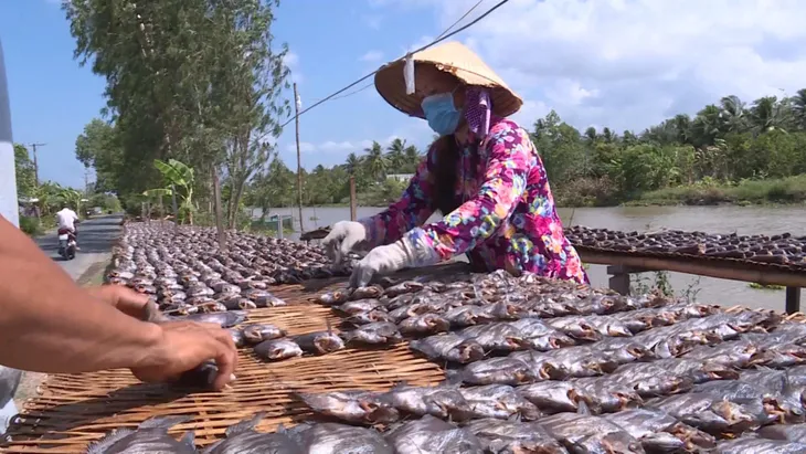Phát huy giá trị nhãn hiệu tập thể “Cá khô bổi U Minh” - Ảnh 2. Phát huy giá trị nhãn hiệu tập thể “Cá khô bổi U Minh” - Ảnh 2.